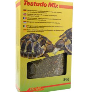 Testudo mix Lucky Reptile