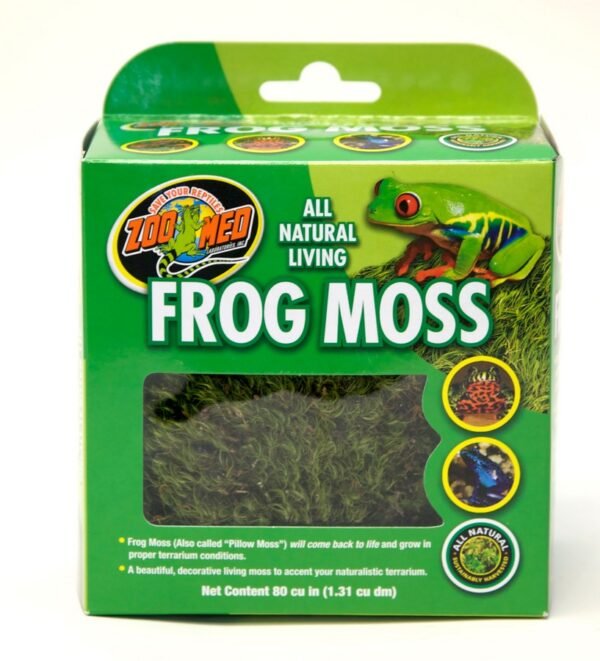 Frog Moss Zoomed