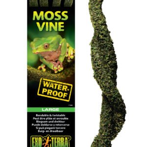 Moss Vine Exoterra