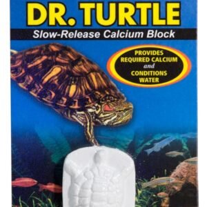 Dr Turtle Zoomed