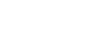SFZ Reptiles - Accessoires et matériels pour terrarium