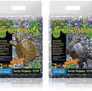 TurtlePebbles ExoTerra